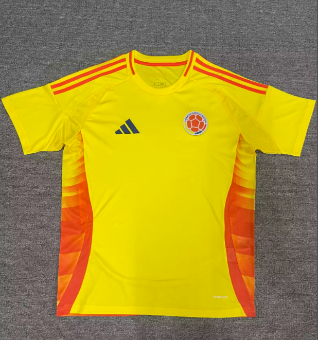 Fans Verison 24/25 Colombia home