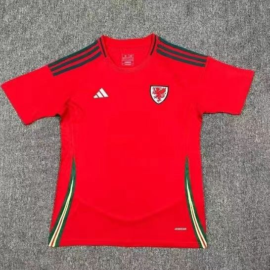 Fans Verison 24/25 Wales Home