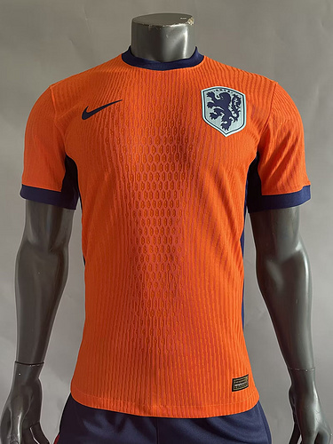 Player Version 24/25 Netherlands Home  