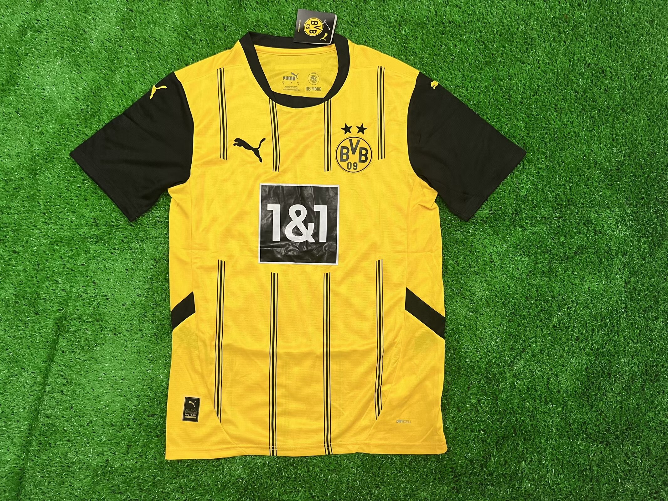 Fans Verison 24/25 Dortmund HOME