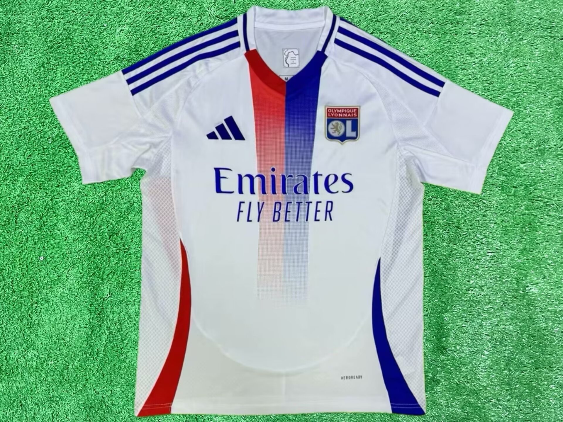 Fans Verison 24/25 Lyon home