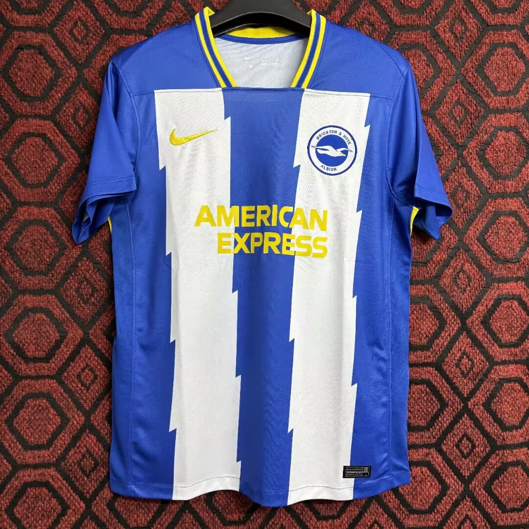 Fans version 24/25 Brighton home