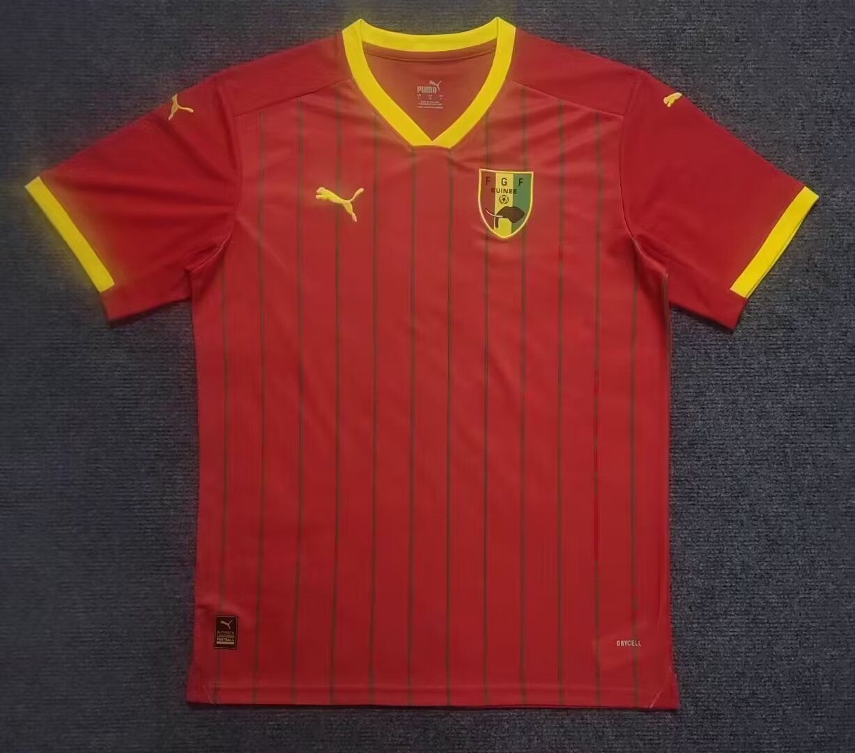 Fans version  24/25 Guinea Home