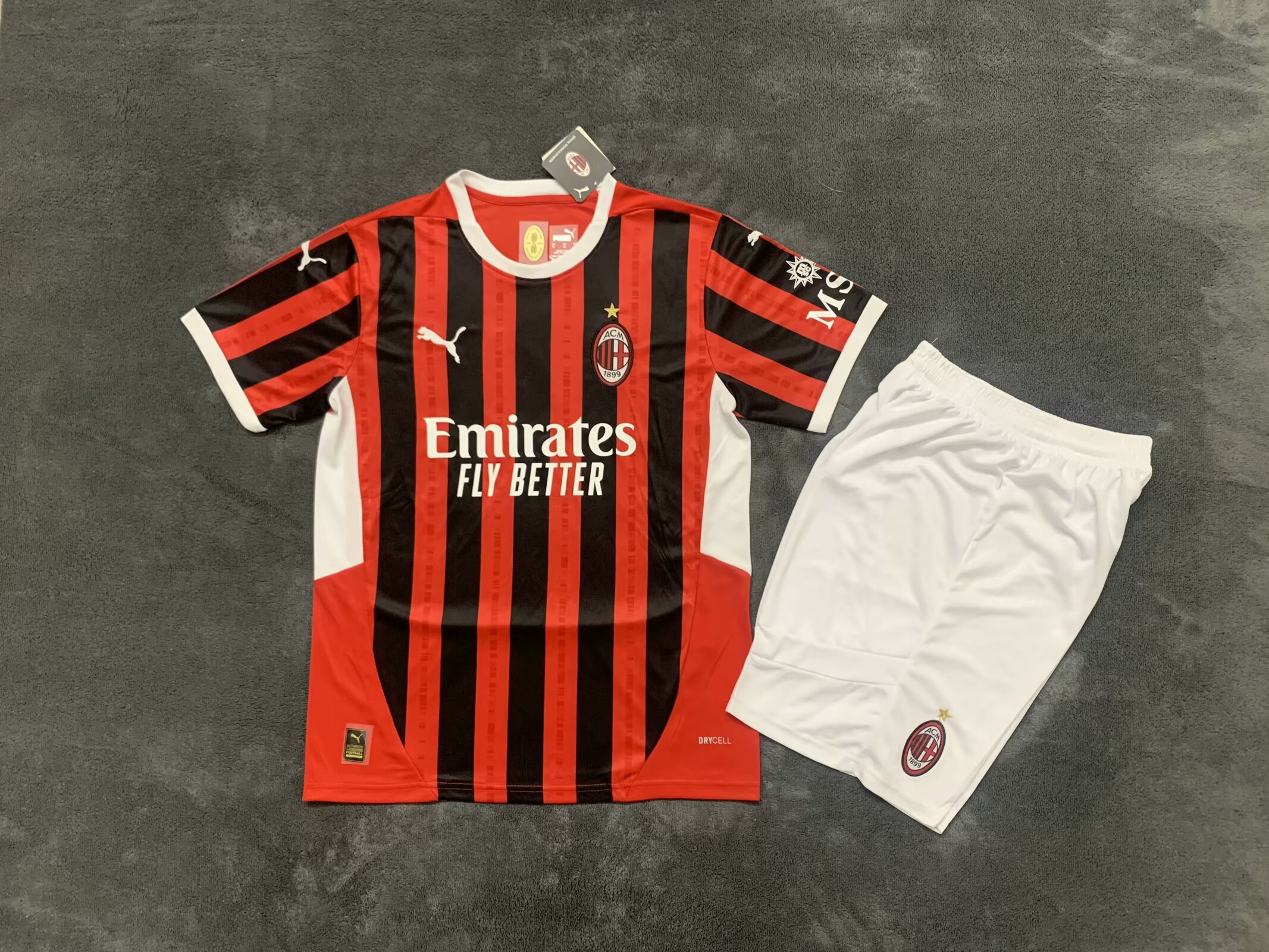 Adults Kits 24/25 AC Milan Home 