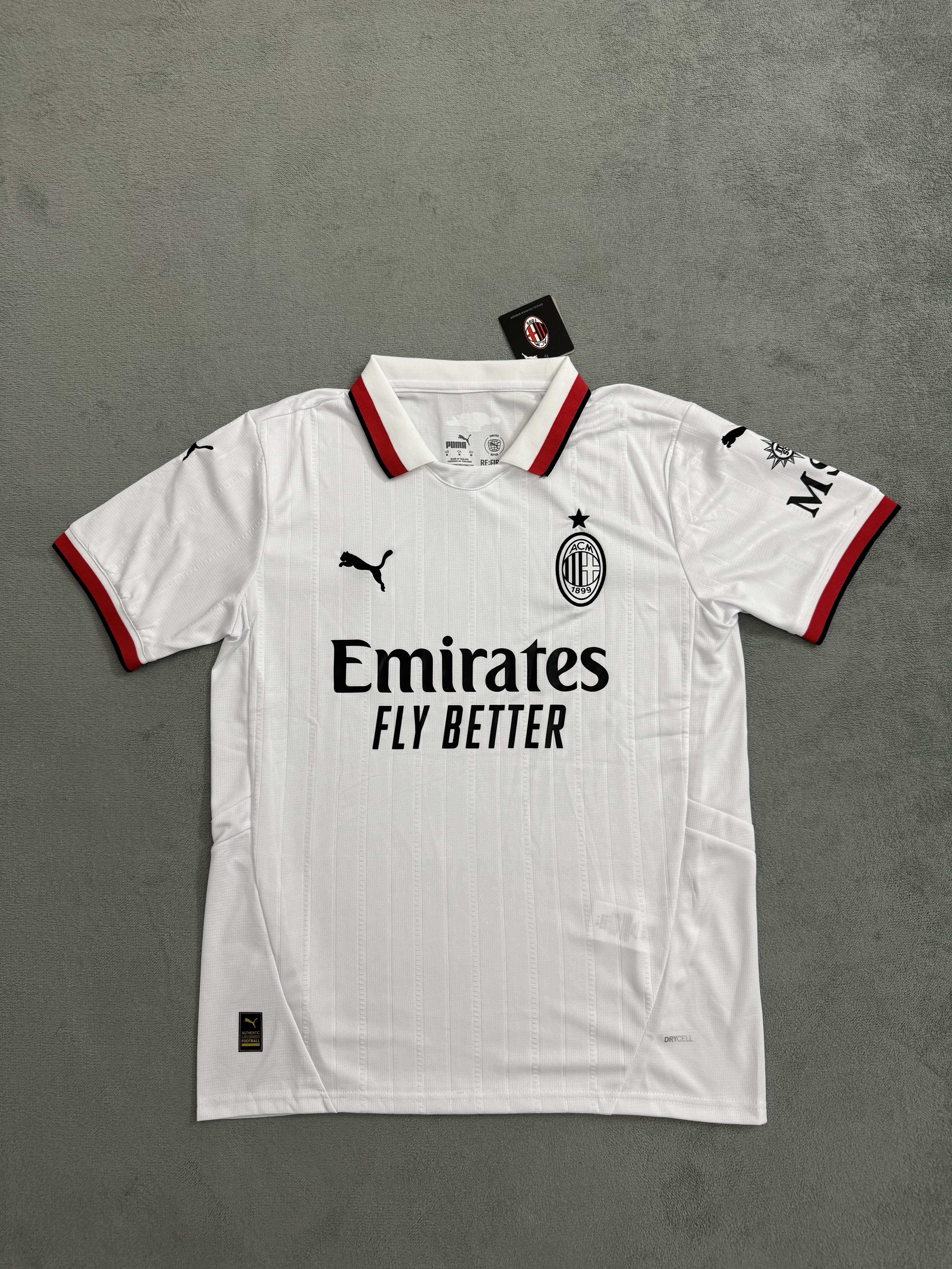 Fans Verison 24/25 AC Milan away