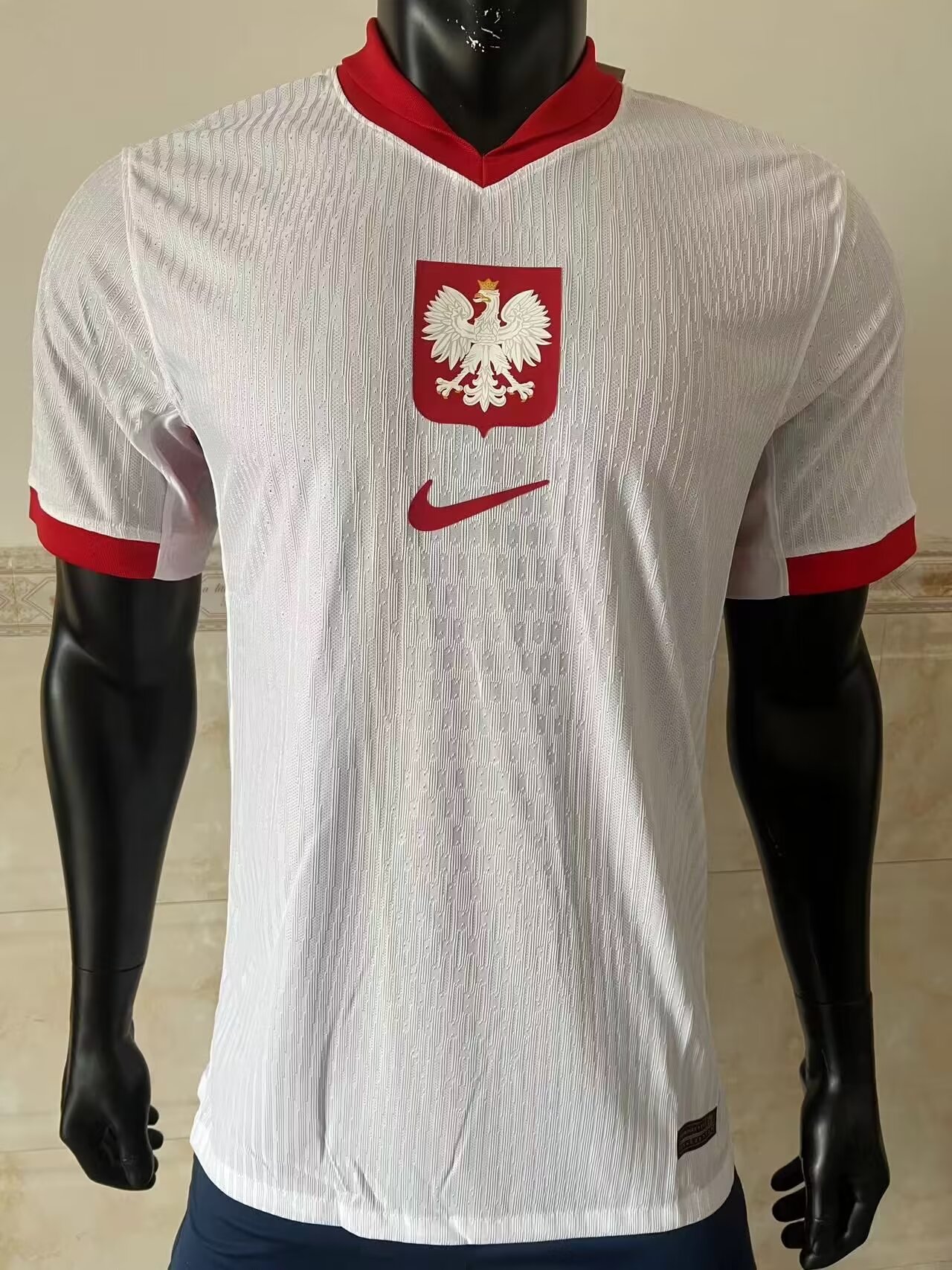  Player Version 2024 Poland Home