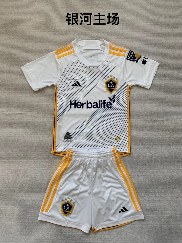 Adults kits 24/25 Los Angeles Galaxy home