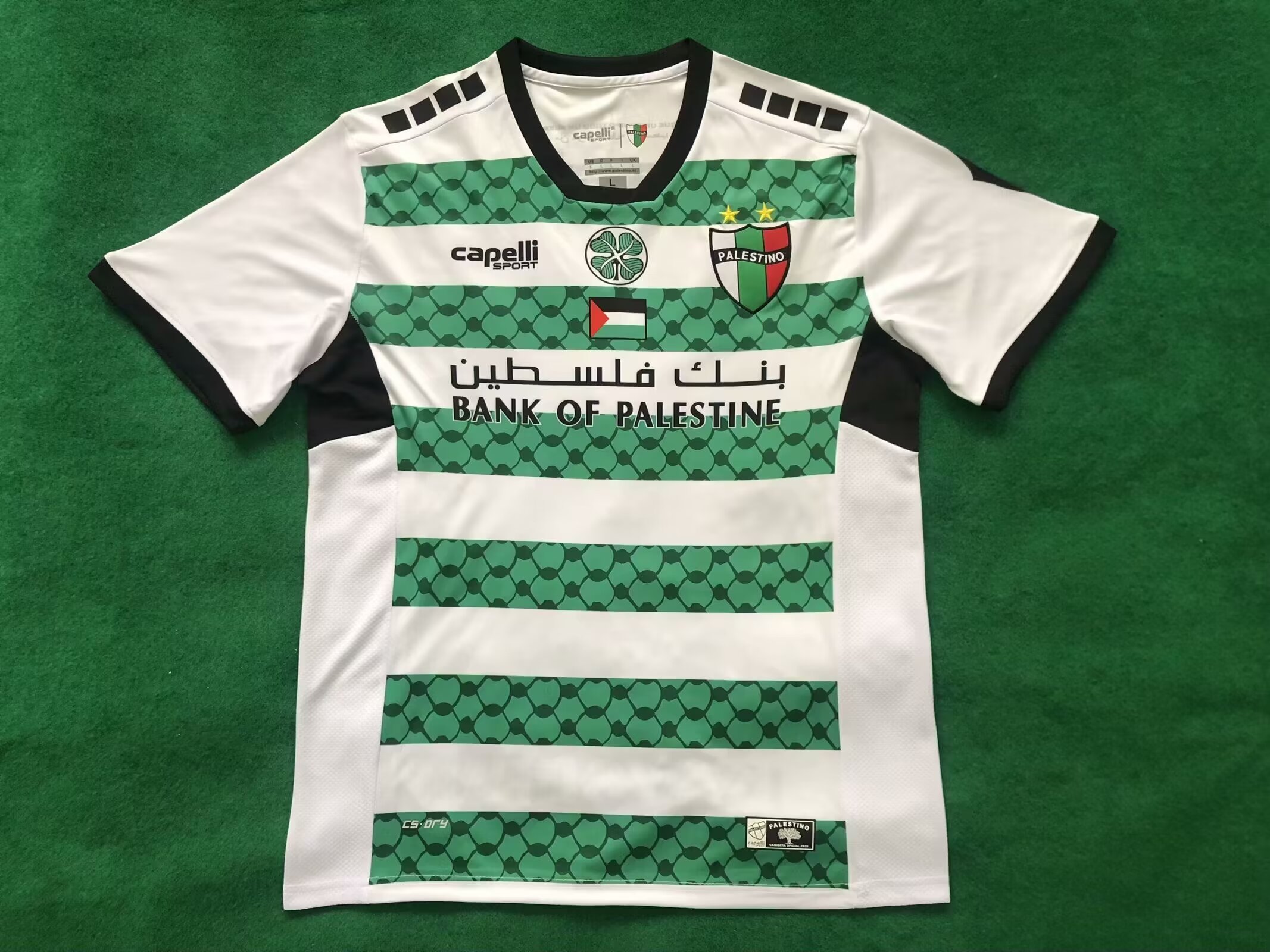 Fans Version 24/25 Palestine third away White green