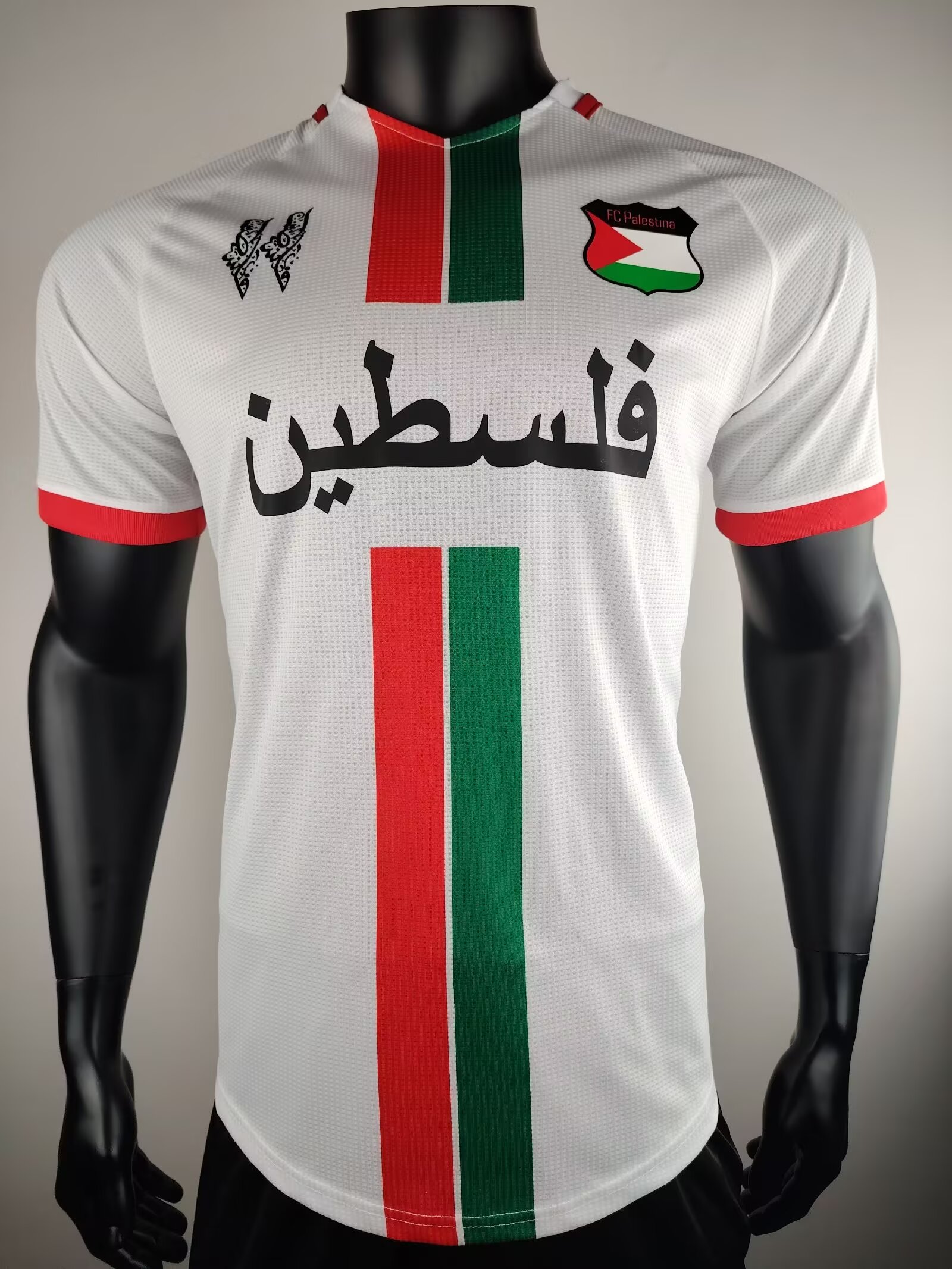 Player Version 24/25 Palestine Arabic