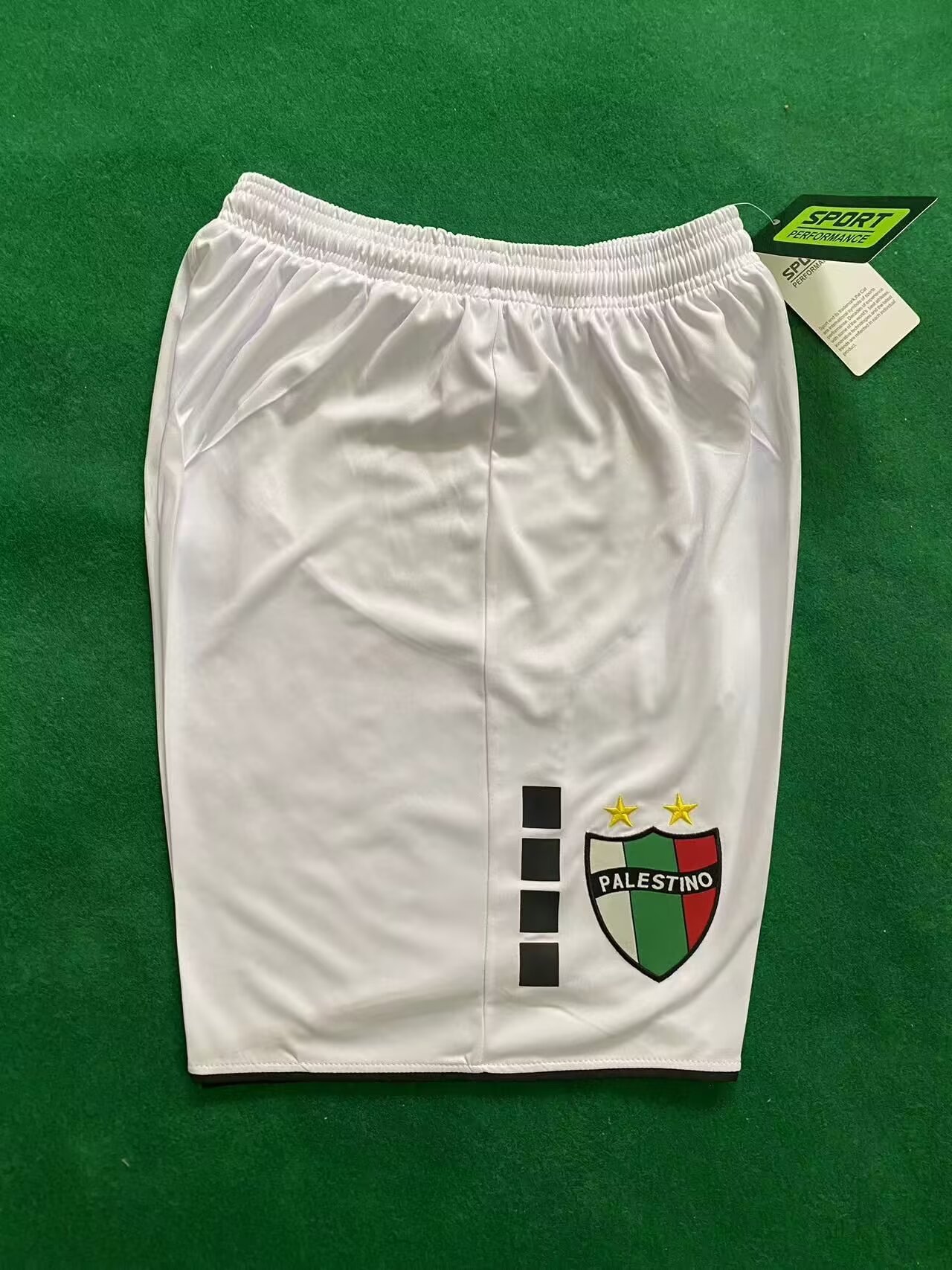 Fans Version 24/25 Palestine home shorts