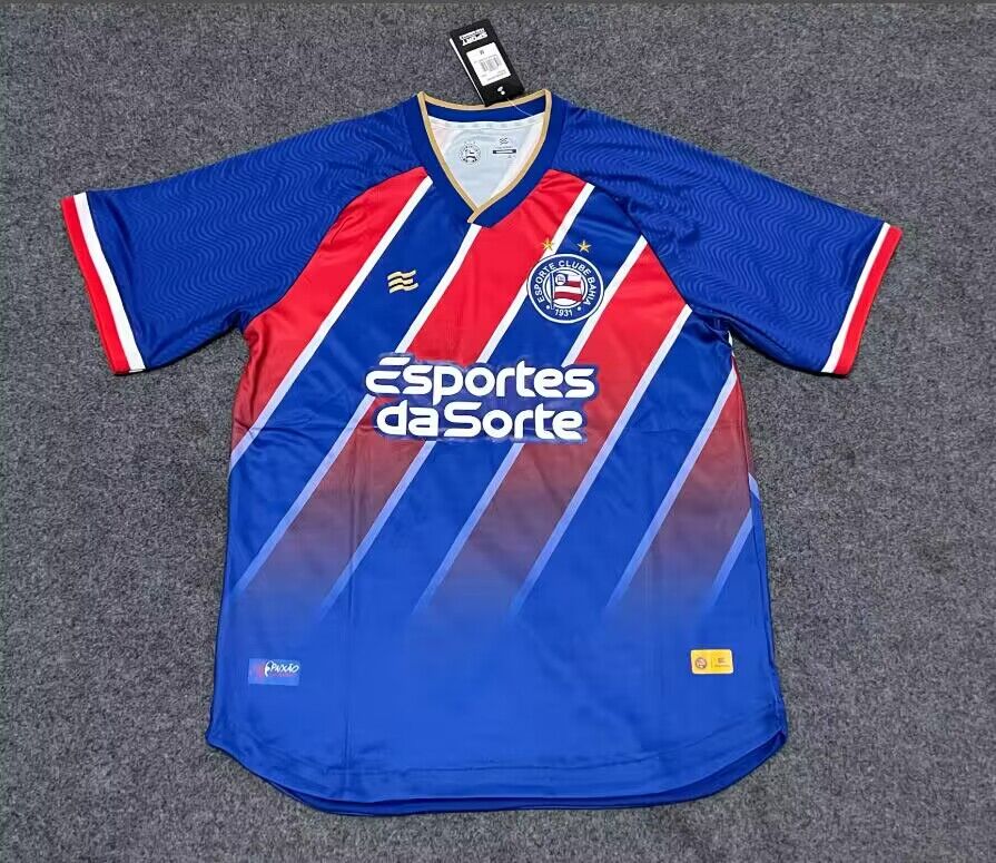 Fans version Bahia 24/25 Away