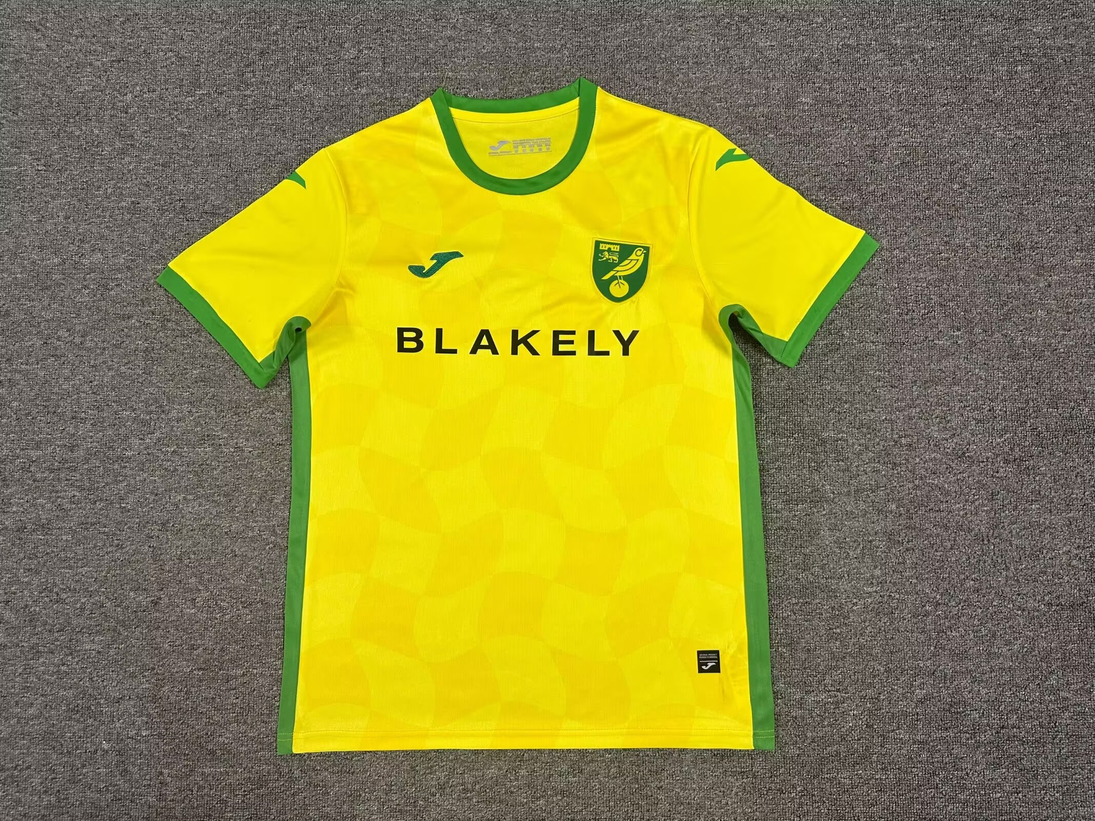 Fans Verison 24/25 Norwich City Home