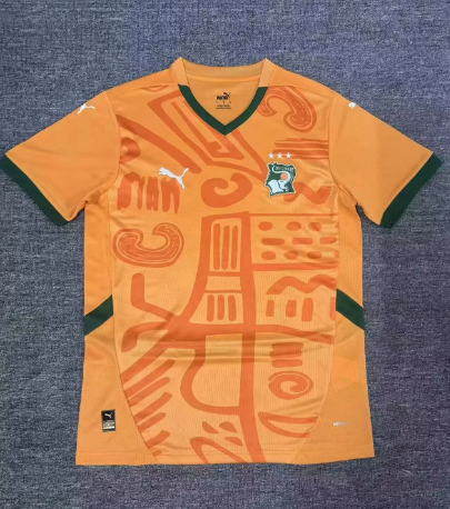 Fan Version 24/25 Côte d’Ivoire home