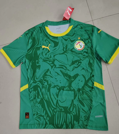 Player Verison 24/25 Senegal Away  