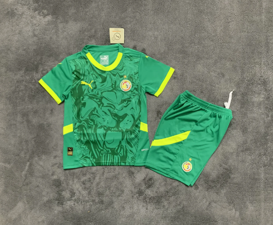 Kids kits 24/25 Senegal Green