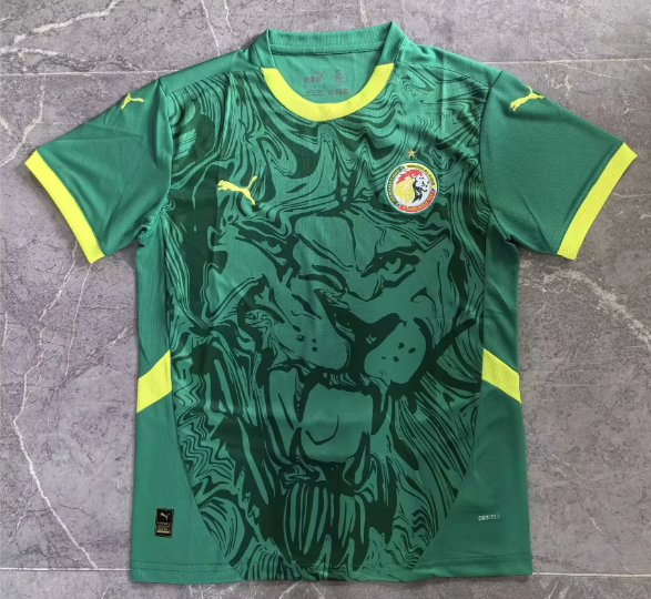 Fans Verison 24/25 Senegal Away Jersey