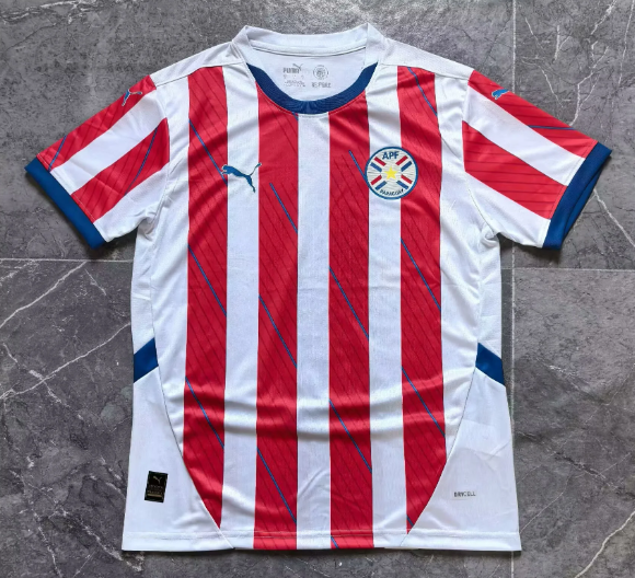 Fans version 24/25 Paraguay Home