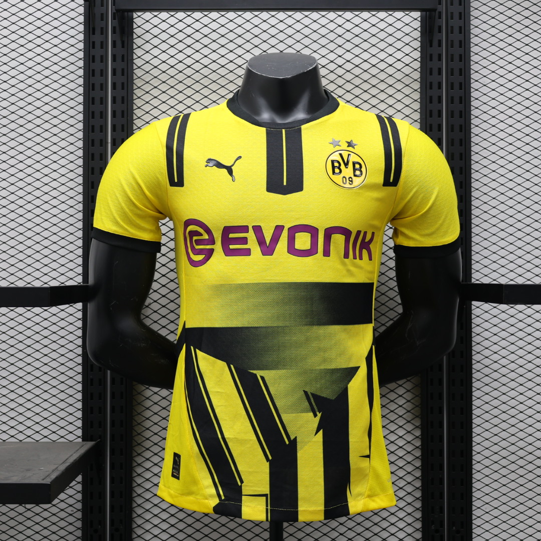 Player version 24/25 Dortmund special