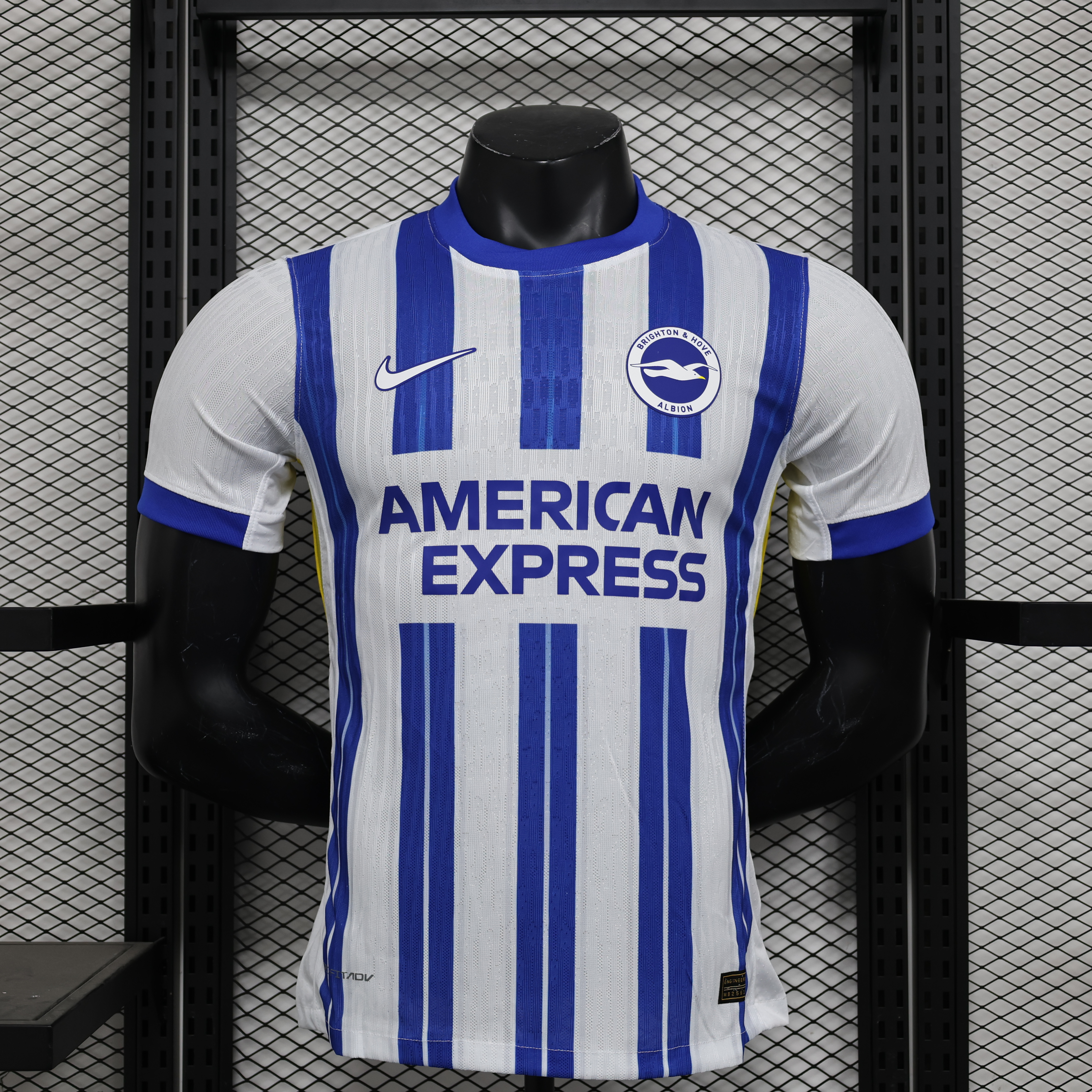 player version 24/25 Brighton&amp;amp;Hove Albion Home