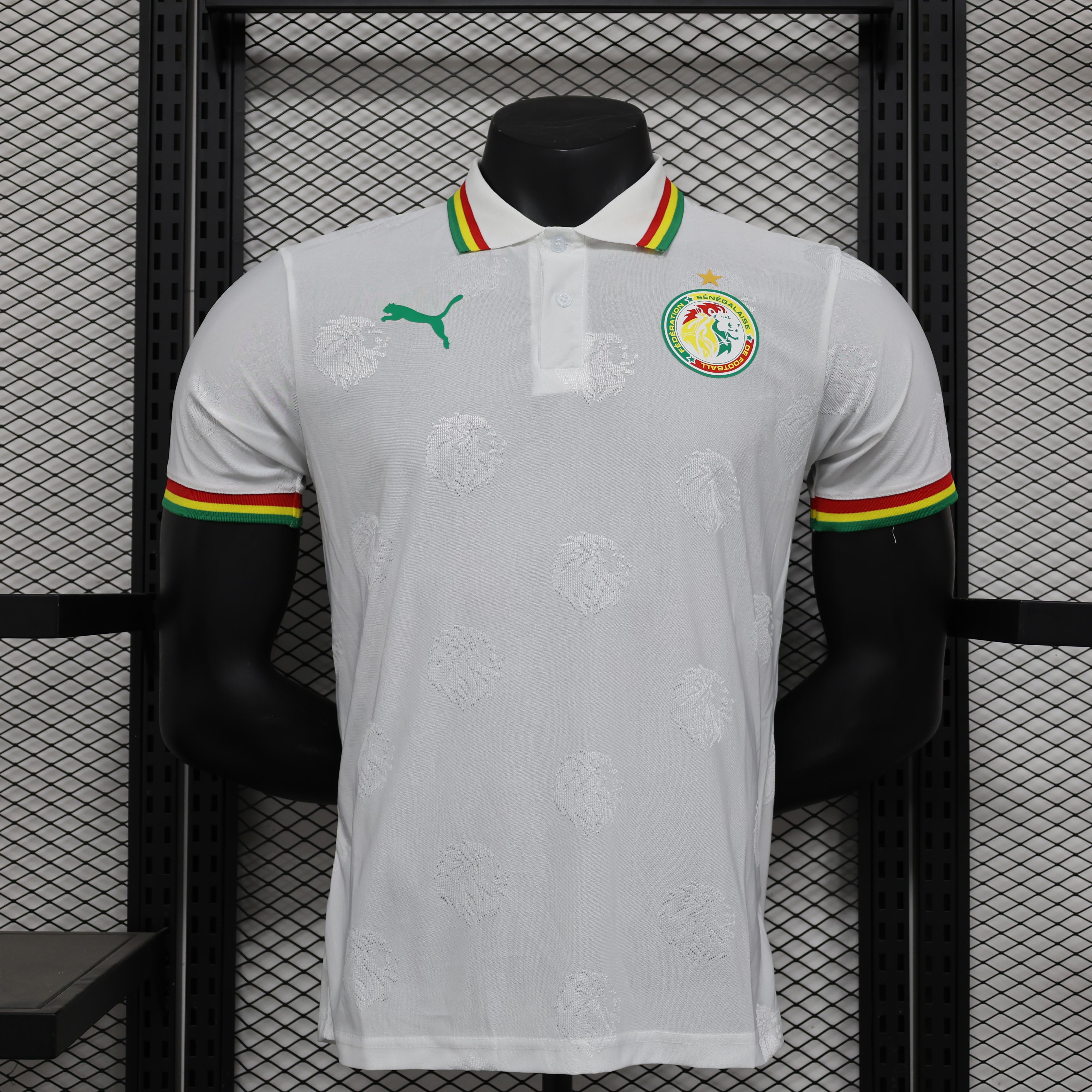 Player Version 24/25 Senegal Special Edition white