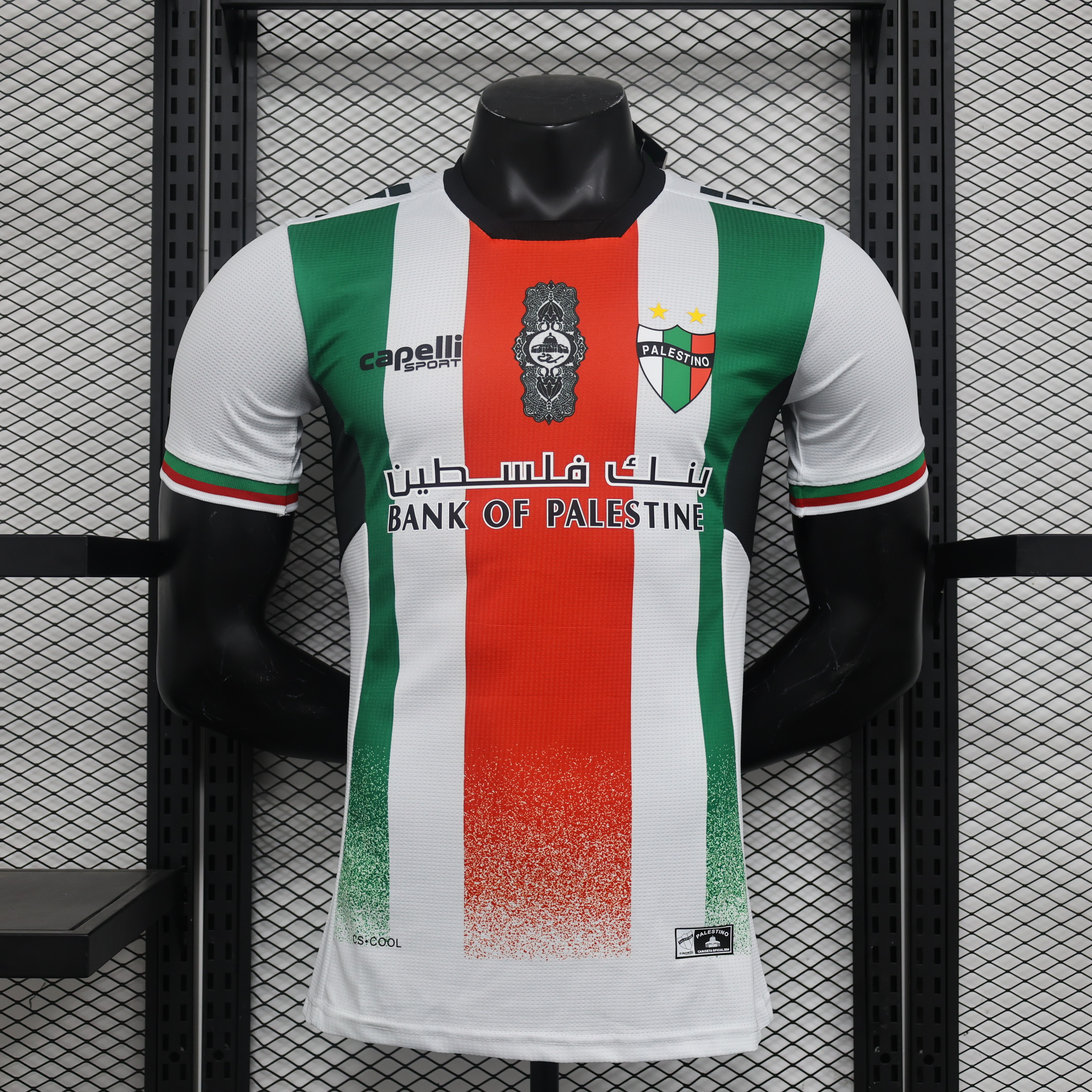 Player Version 24/25 Palestine Home