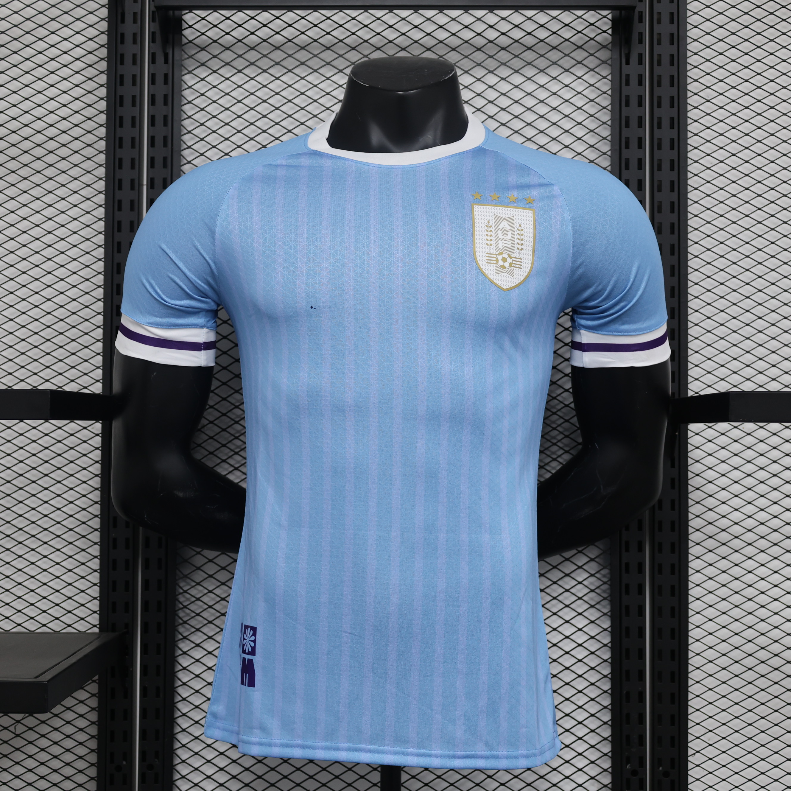 Player Version 24/25 Uruguay Home