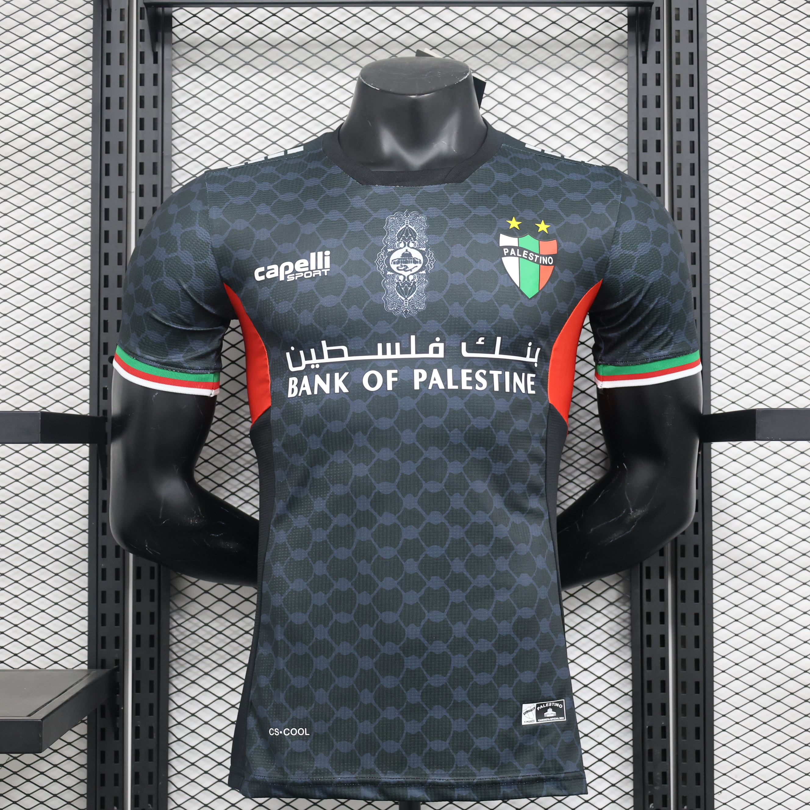 Player Version 24/25 Palestine away