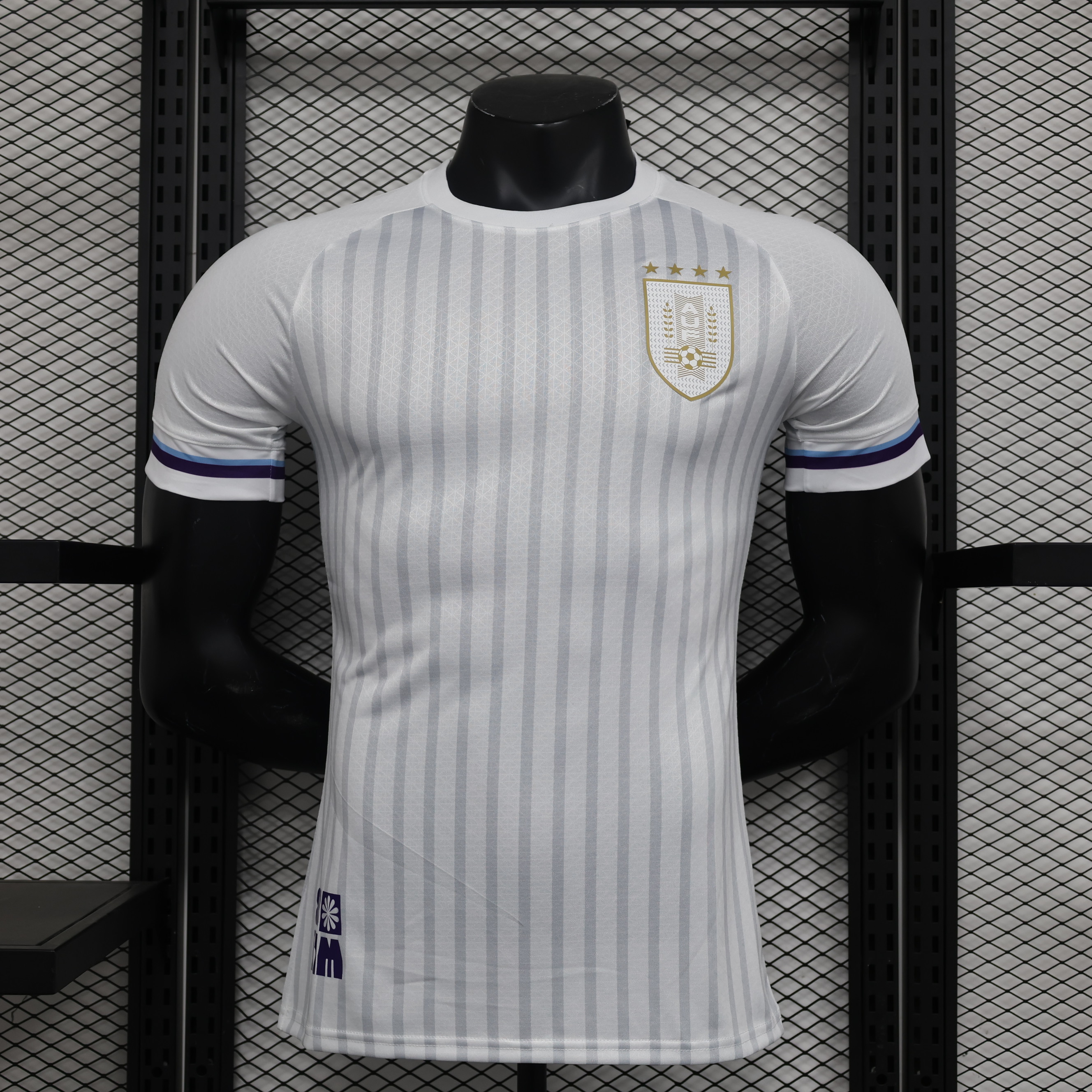 Player Version 24/25 Uruguay away