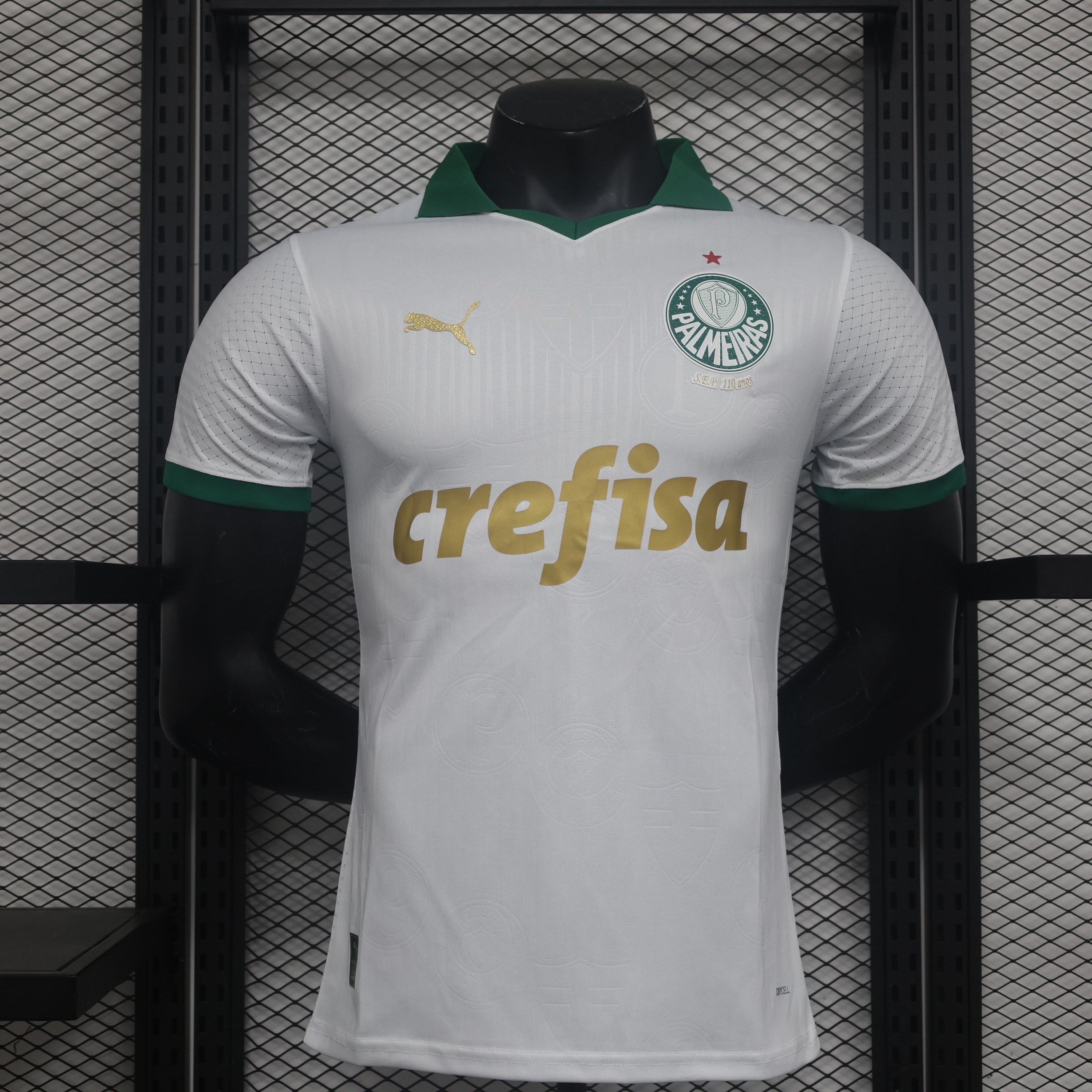 Player Version 24/25 Palmeiras away