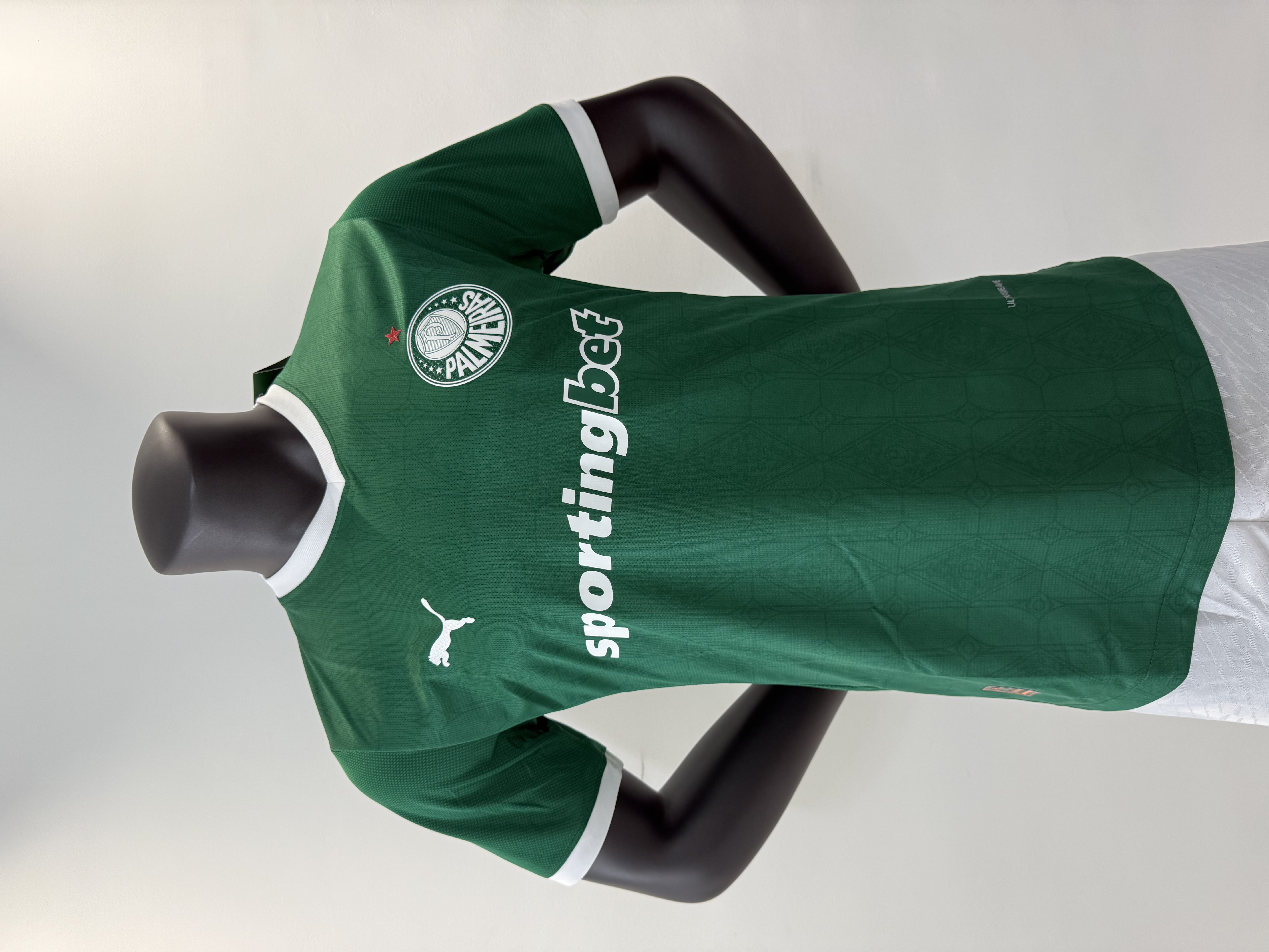 25/26Palmeiras home field