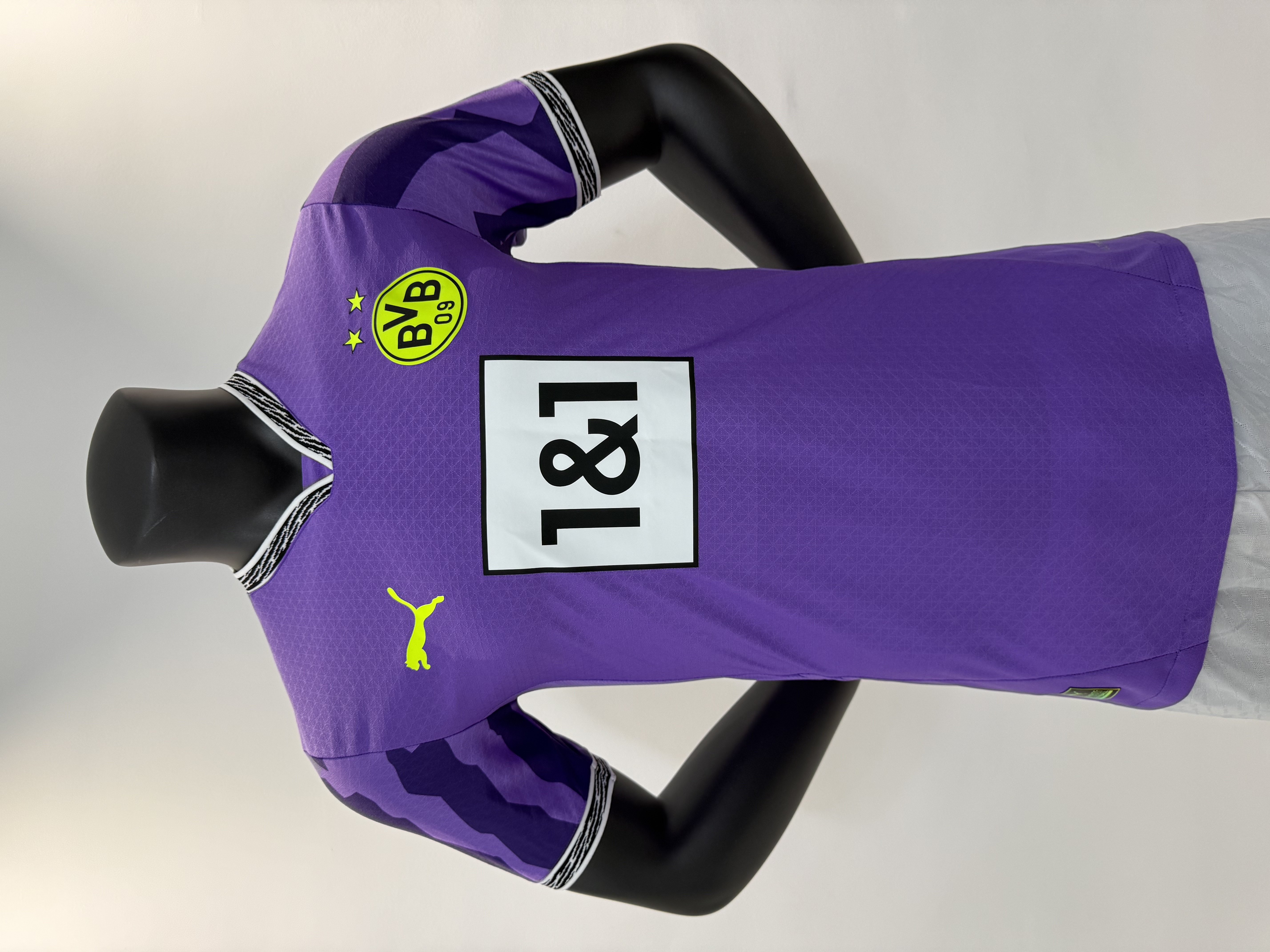 25/26Dortmund Purple Goalkeeper