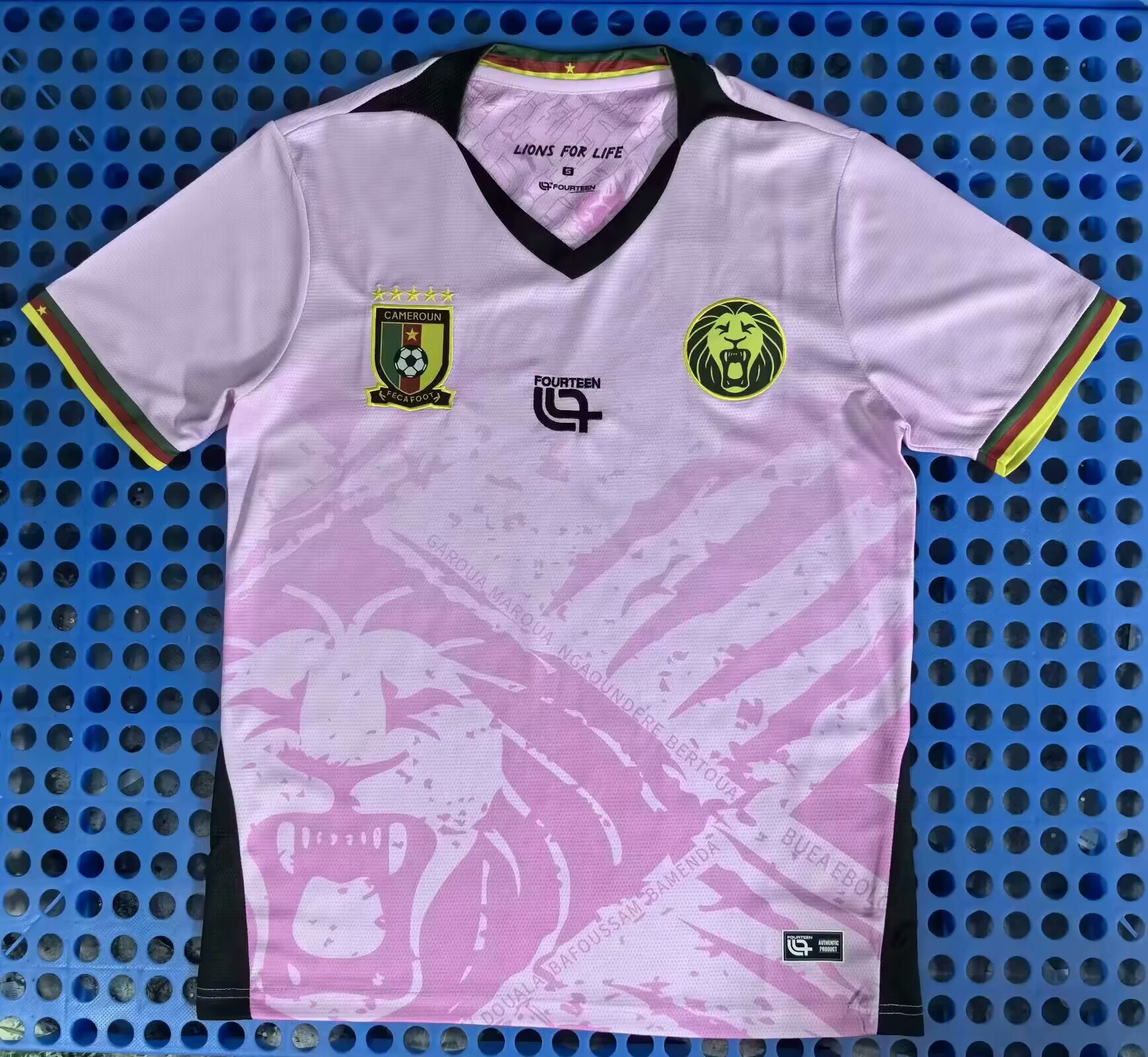 Fans Version 25/26 Cameroon Pink 
