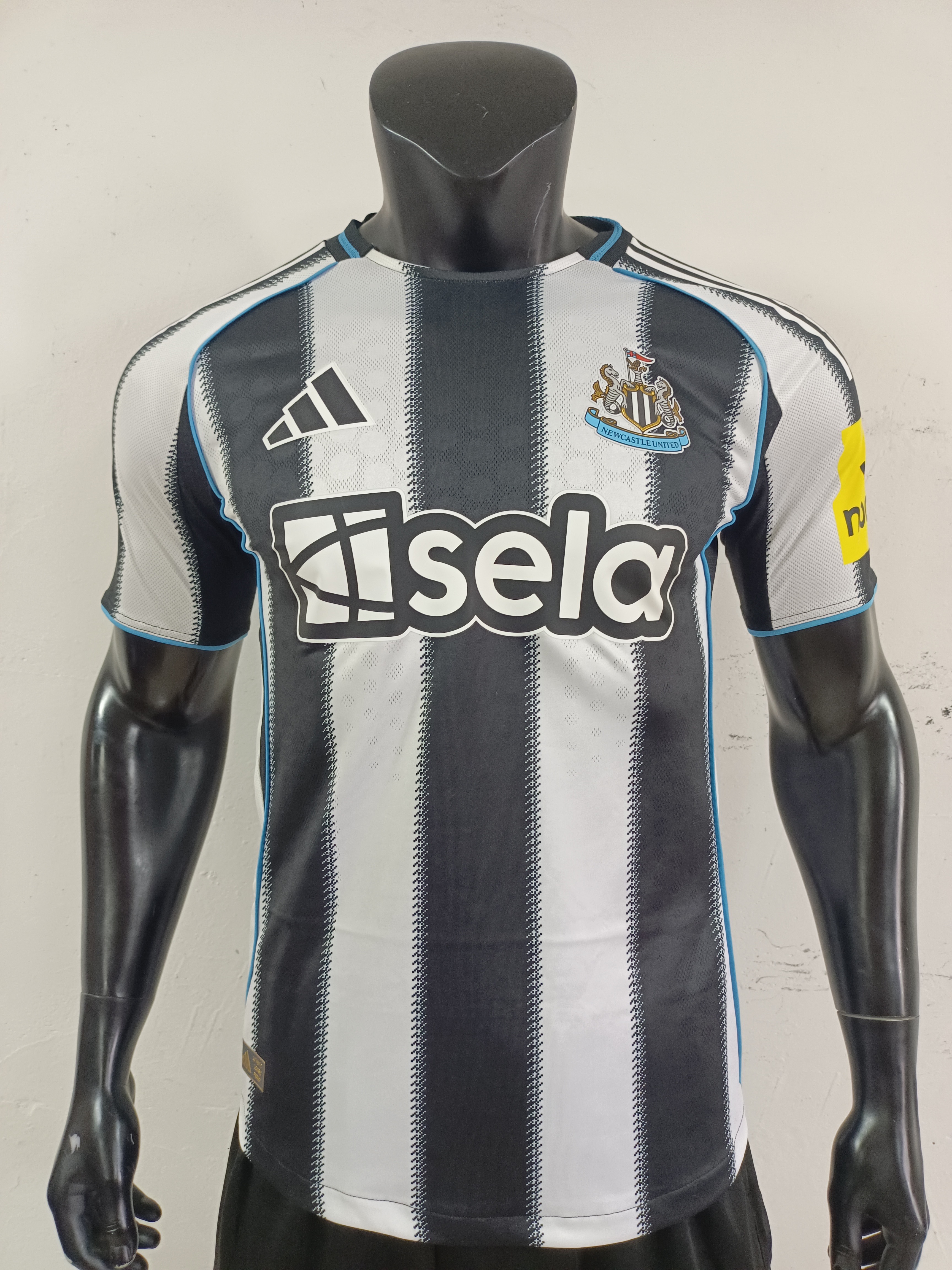 Player Version 25/26 Newcastle's home court