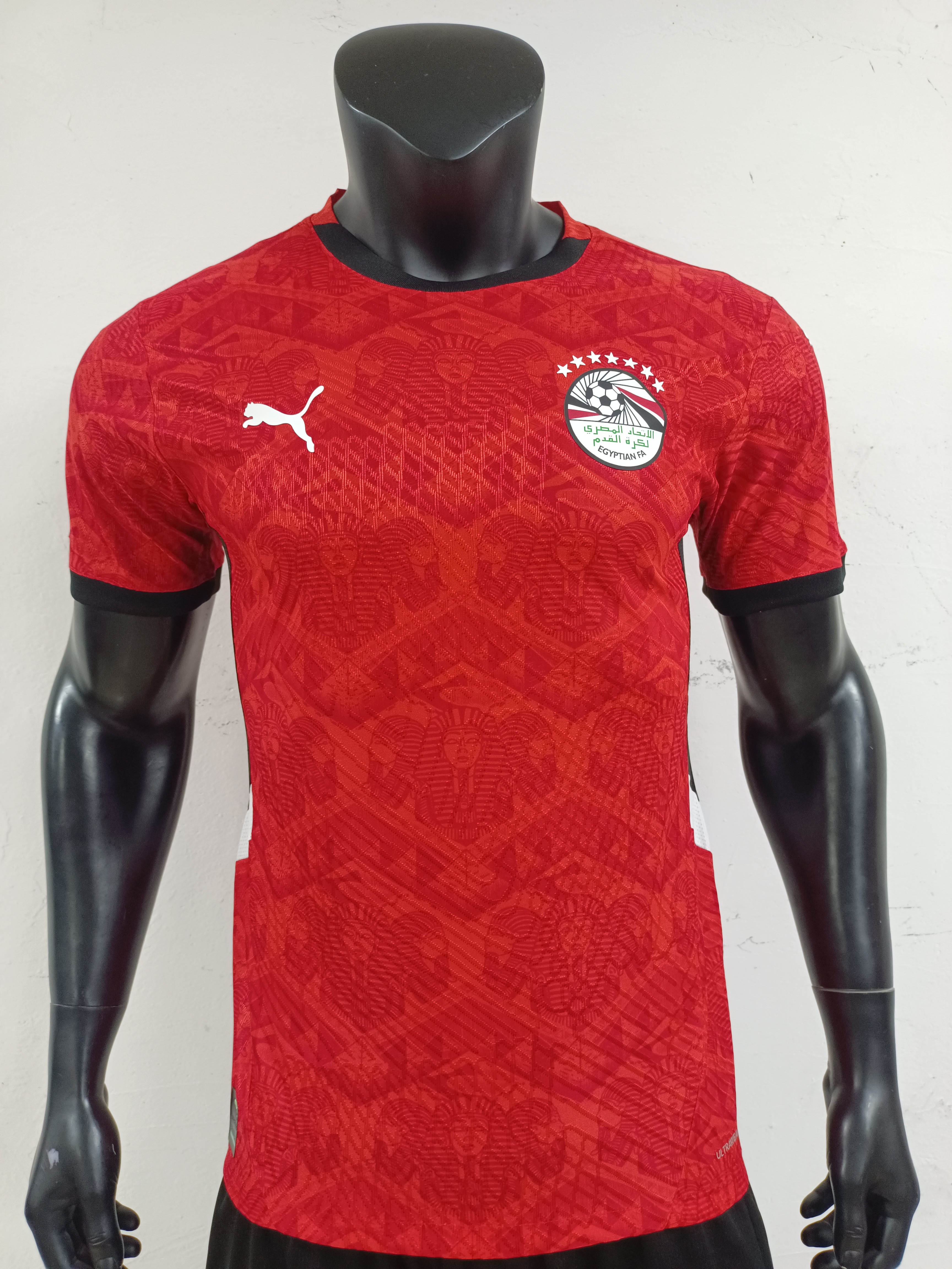 Player Version 25/26 Egyptian home