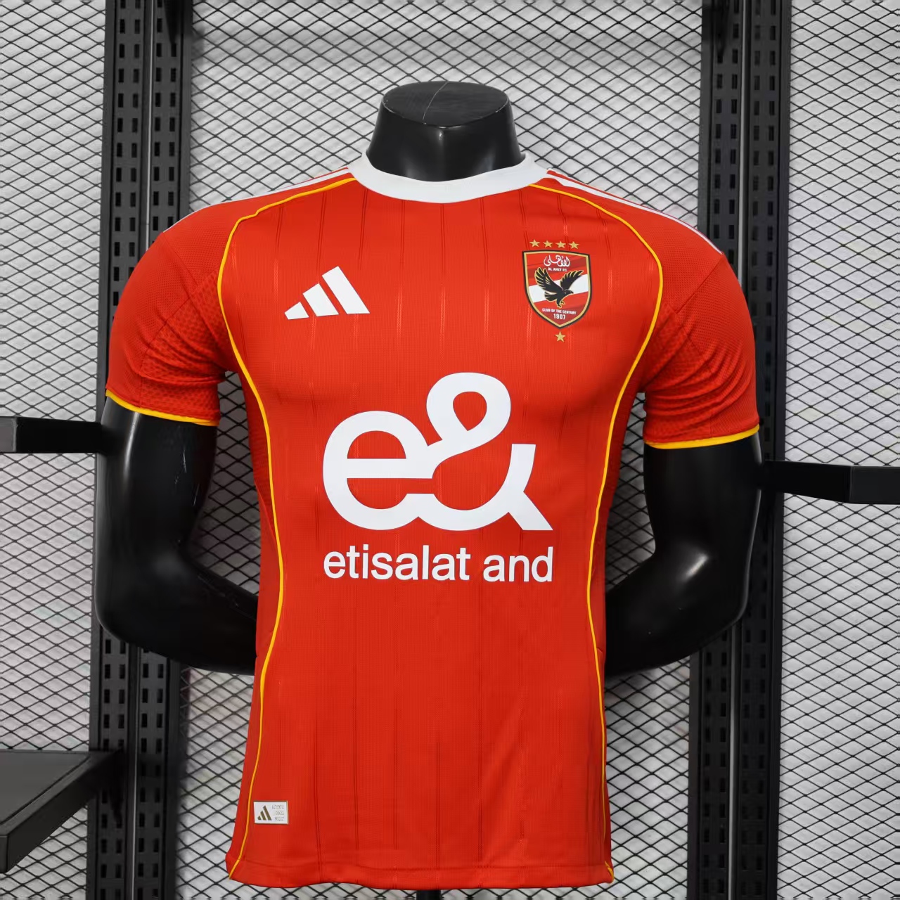 Player Version 25/26 Egyptian National home