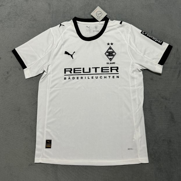 Fans Version 25/26 Borussia home