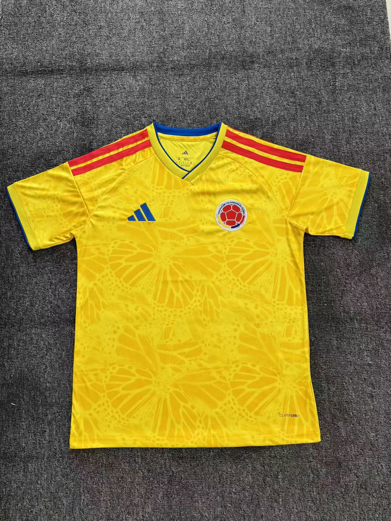 Fans Version 25/26 Colombia home