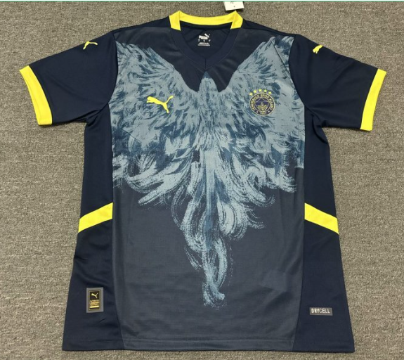 Fan version 25/26  Fenerbahce Special Edition