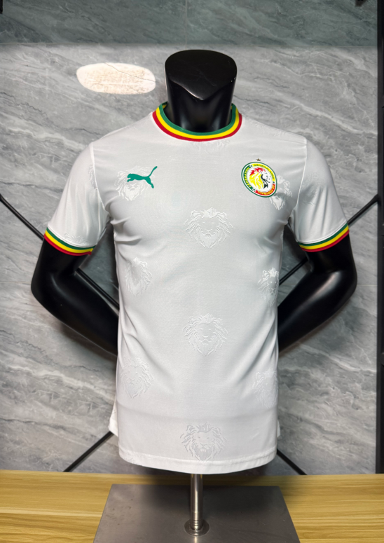 Player Version 25/26 Senegal Special Edition White