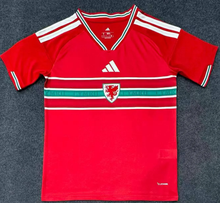Fans Version 25/26 Wales Home