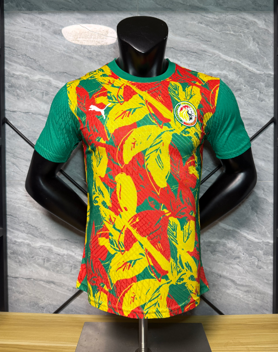 Player Version 26/27 Senegal Special Edition Red