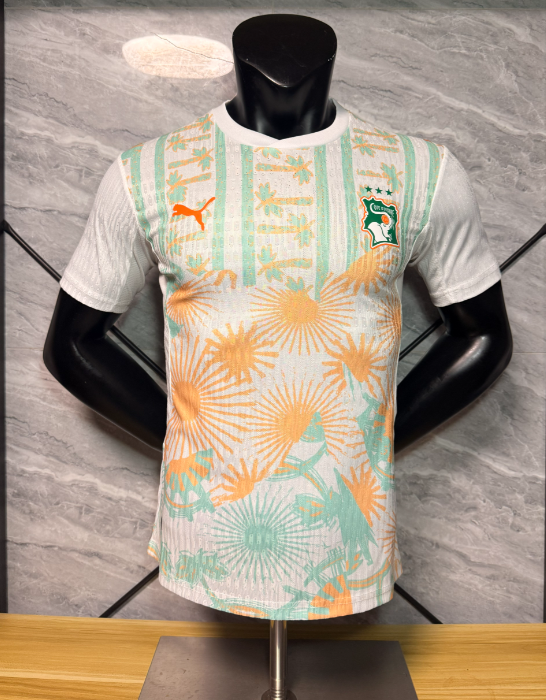 Player Version 26/27 Ivory Coast away