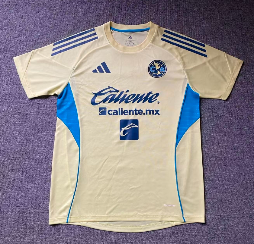 Player Version 26/27 America training suit