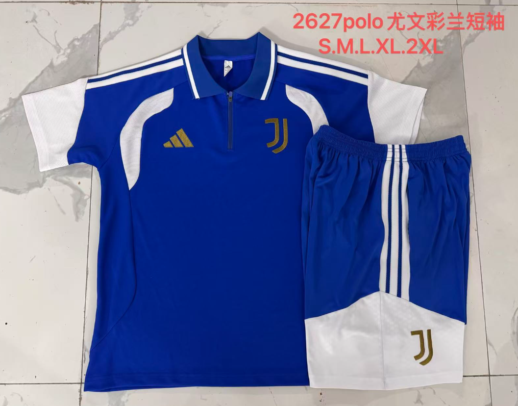 26/27 Adults POLO Juventus variegated orchid Training Kits